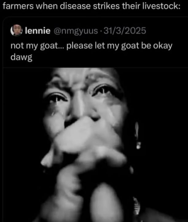 farmers when disease strikes their livestock: lennie @nmgyuus 31/3/2025 not my goat... please let my goat be okay dawg