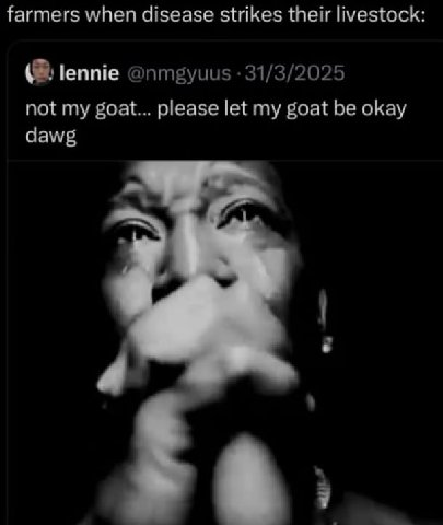 farmers when disease strikes their livestock: lennie @nmgyuus 31/3/2025 not my goat... please let my goat be okay dawg