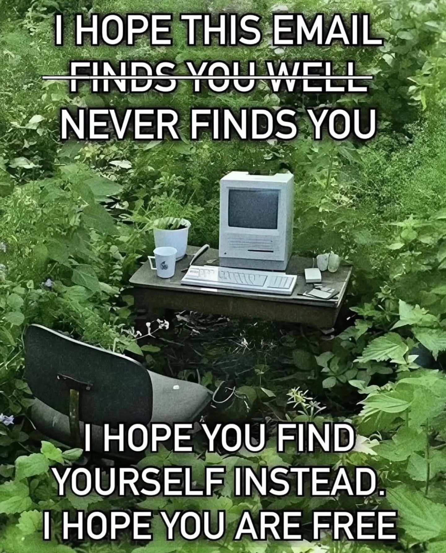 НОРЕ THIS EMAIL NEVER FINDS YOU HOPE YOU YOURSELF INSTEAD HOPE YOU ARE FREE