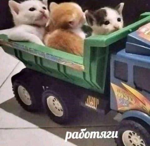 аботяги
