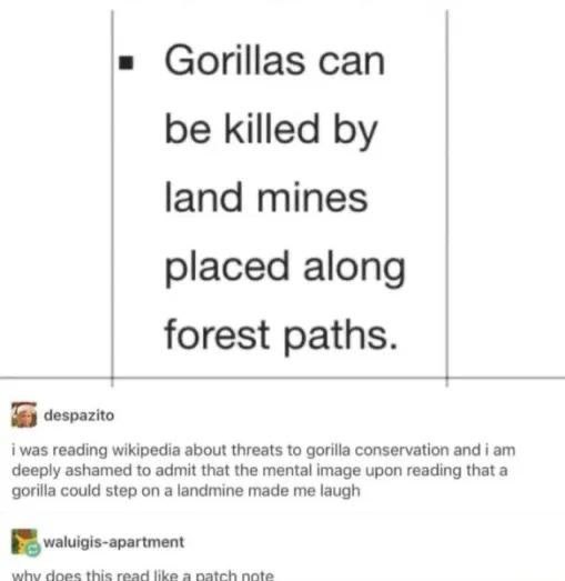 Gorillas can be killed land mines placed along forest paths. despazito i was reading wikipedia about threats to gorilla conservation and i deeply ashamed to admit that the mental image upon reading th