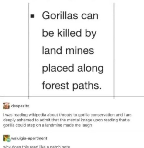 Gorillas can be killed land mines placed along forest paths. despazito i was reading wikipedia about threats to gorilla conservation and i deeply ashamed to admit that the mental image upon reading th