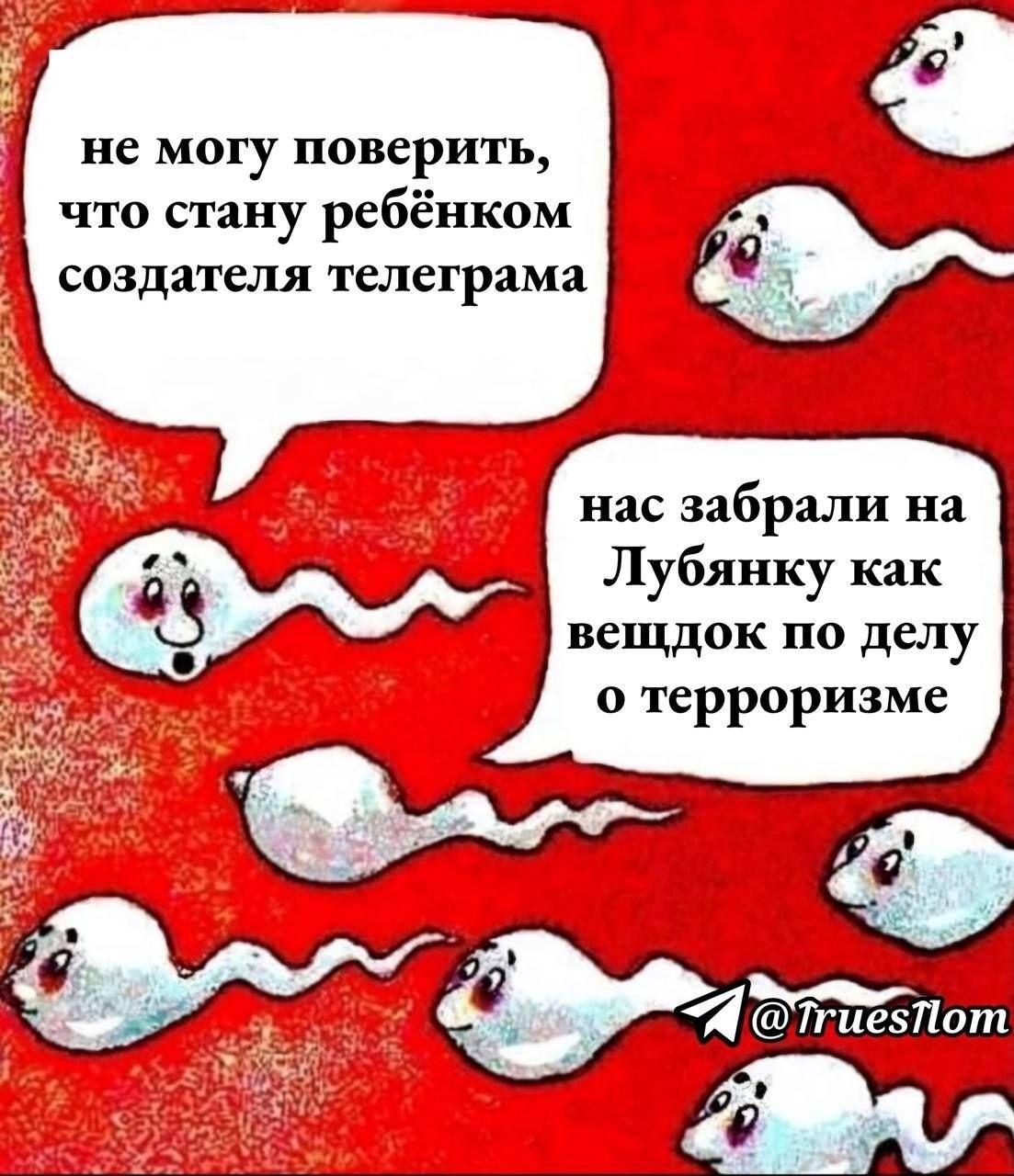 не могу поверить, что стану ребёнком создателя телеграма нас забрали Лубянку как вещдок по делу о терроризме