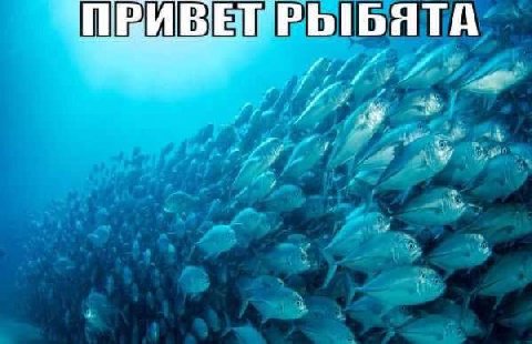 ПРИБ