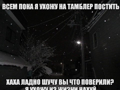 ВСЕМ ПОКА Я УХОЖУ НА ТАМБЛЕР ПОСТИТЬ КАХА ЛАДНО ШУЧУ ВЫ ЧТО ПОВЕРИЛИ? а