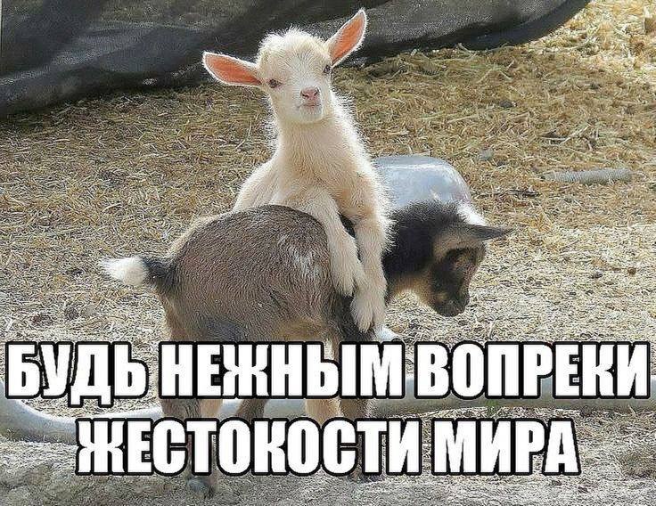 3% a Be НЕНН ВОПР a 5