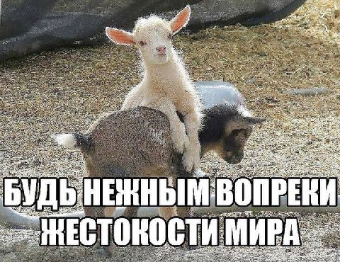 3% a Be НЕНН ВОПР a 5