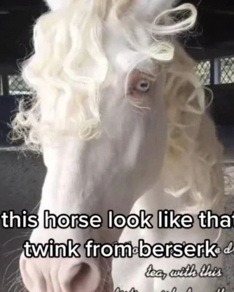 4 4 horse PPP