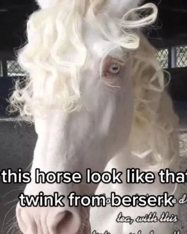 4 4 horse PPP