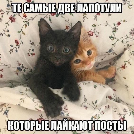 a А A 5 у wit