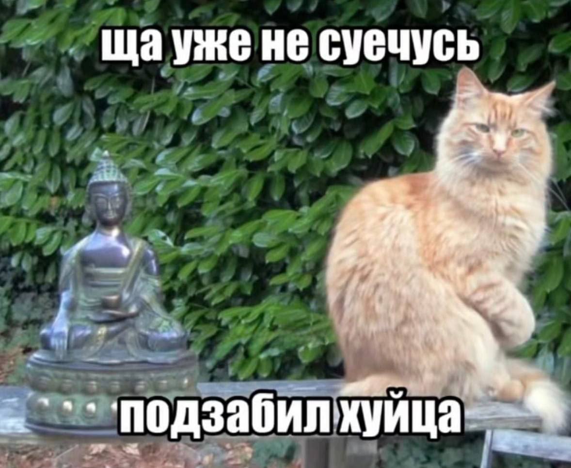 He суечусь подзабилхуица