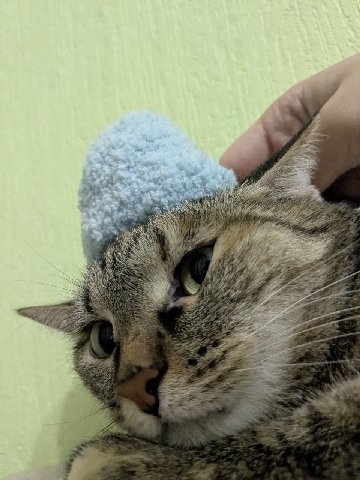 зима..