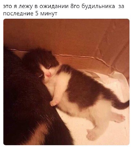 это я лежу в ожидании будильника за последние 5 минут