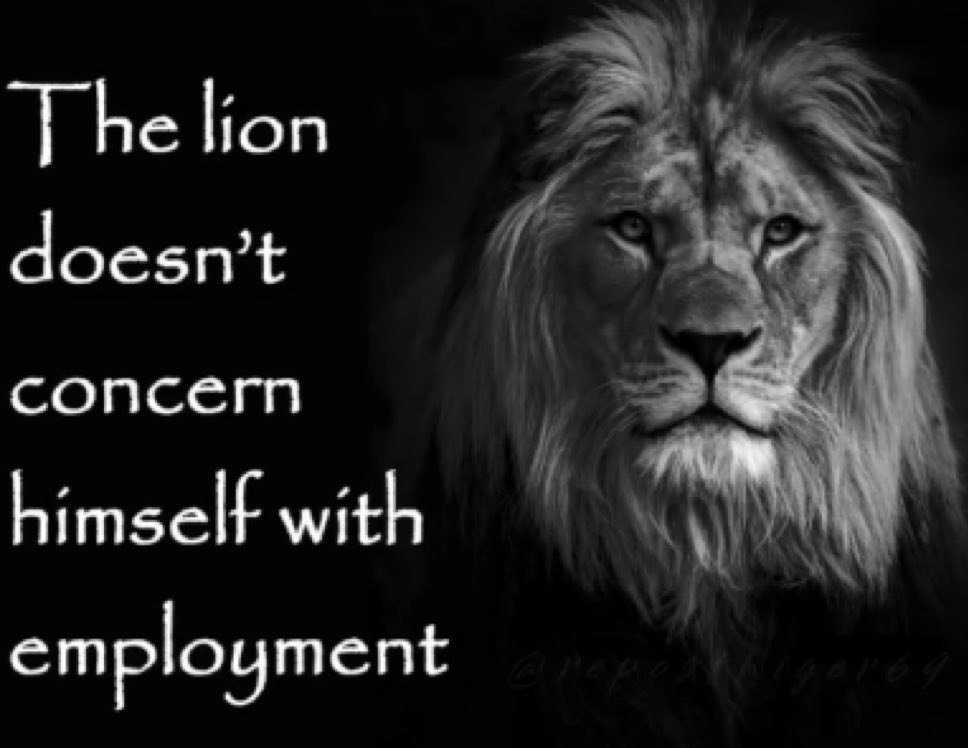 The lion doesn’t сопсегп himself with employment