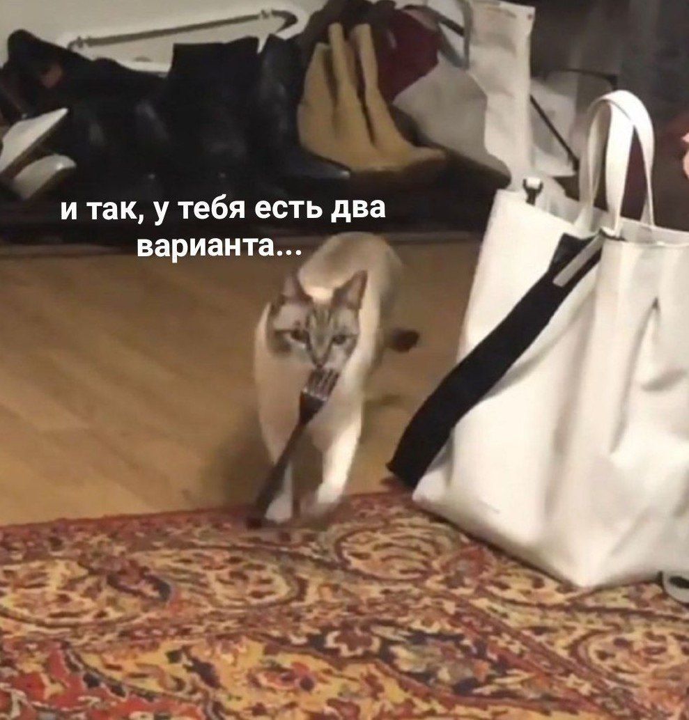 и так, у тебя есть два варианта...
