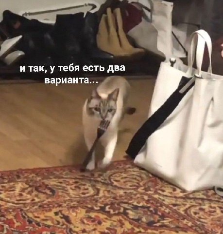 и так, у тебя есть два варианта...