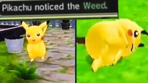 Pikachu noticed the Weed. к