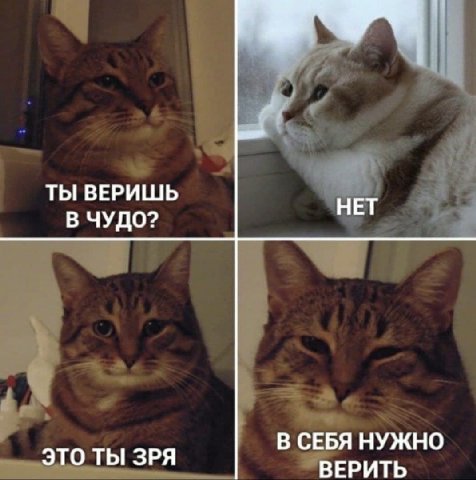 ТЫ ВЕРИШЬ НЕТ В ЧУДО? В СЕБЯ НУЖНО ЭТО ТЫ ЗРЯ ВЕРИТЬ