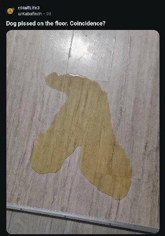 u/Kabafisch Dog pissed on the floor. Coincidence?