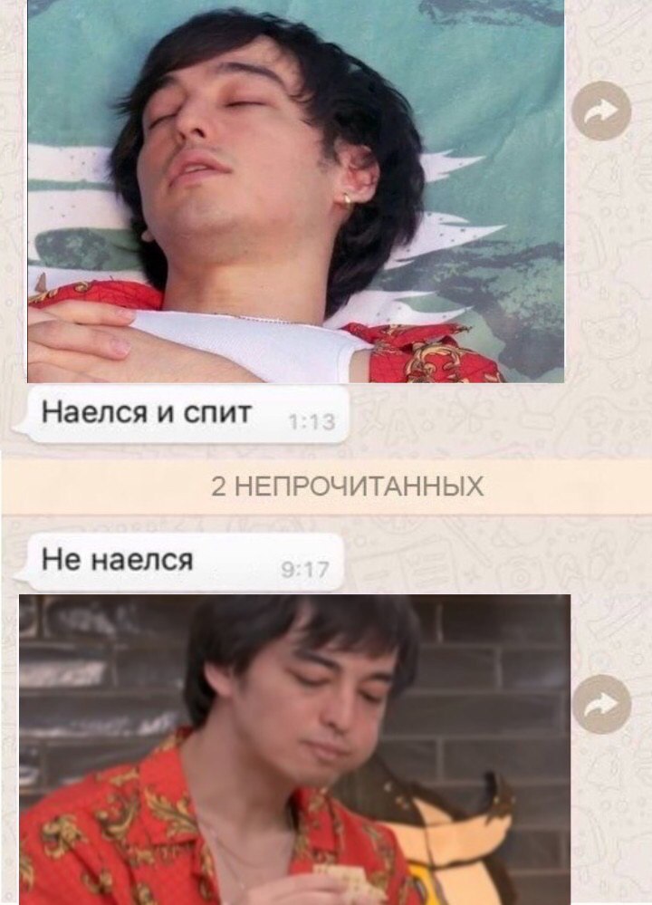 Наелся и спит 2 НЕПРОЧИТАННЫХ Не наелся
