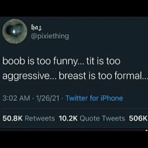 @pixiething boob is too funny... tit is too aggressive... breast is too formal.. 3:02 1/26/21 Twitter for iPhone Retweets Quote Tweets