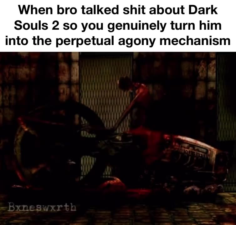 When bro talked shit about Dark Souls 2 so you genuinely turn him into the perpetual agony mechanism