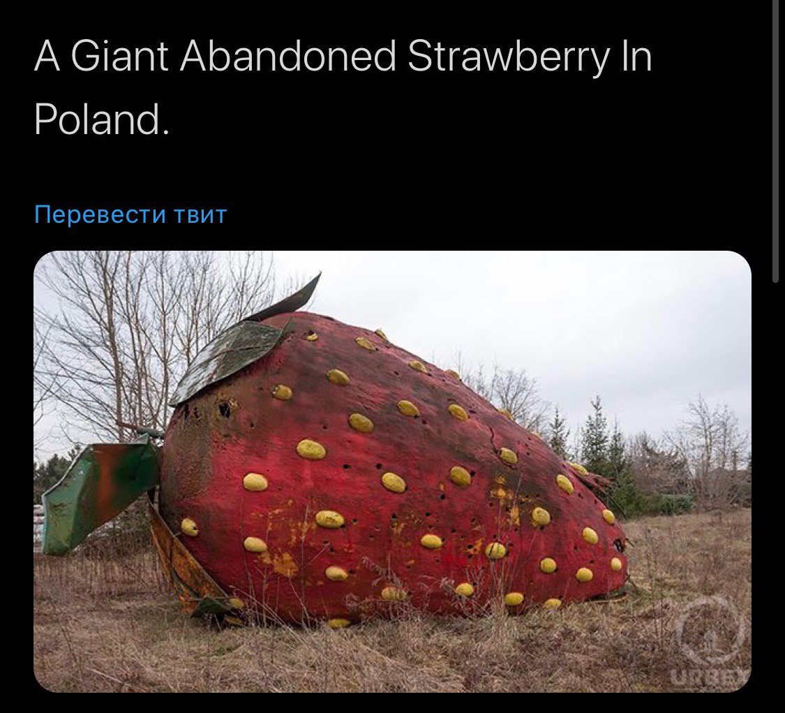 cm
