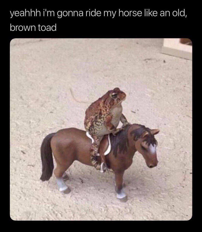 yeahhh gonna ride my horse like an old, brown toad