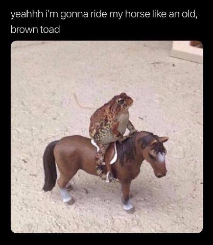 yeahhh gonna ride my horse like an old, brown toad