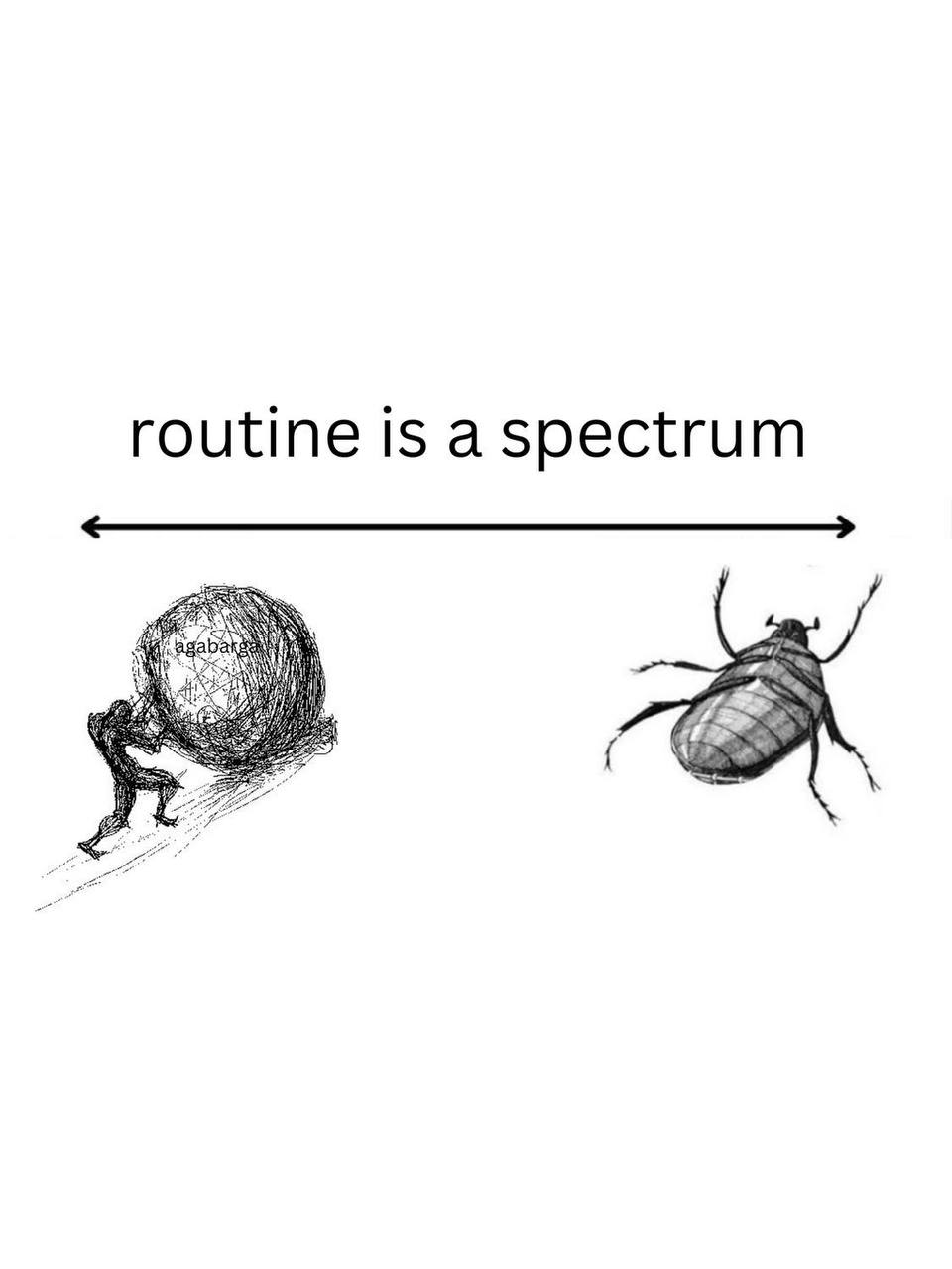 routine is aspectrum