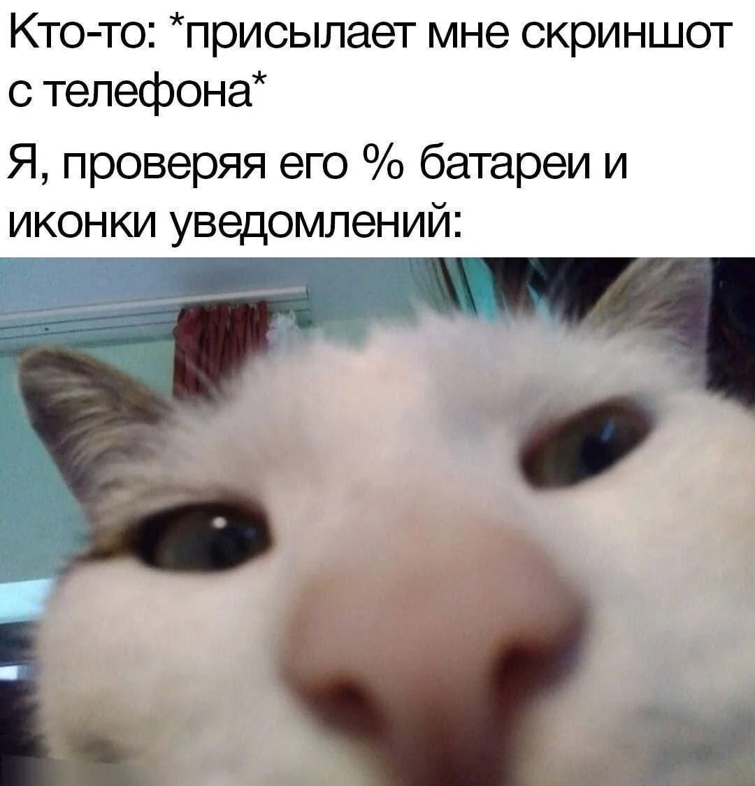 Кто-то: *присылает мне скриншот стелефона* Я, проверяя его батареи и иконки уведомлений: