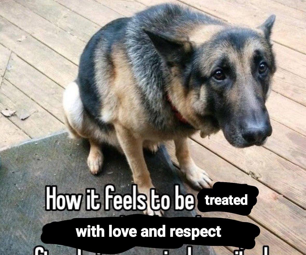 4 How, Feels treated with love and