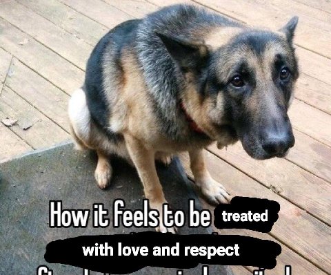 4 How, Feels treated with love and