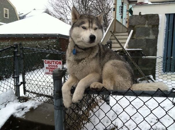 CAUTION Me