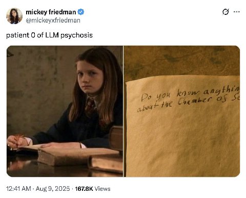 mickey friedman @mickeyxfriedman patient О of LLM psychosis 12:41 Aug 9, 2025 Views