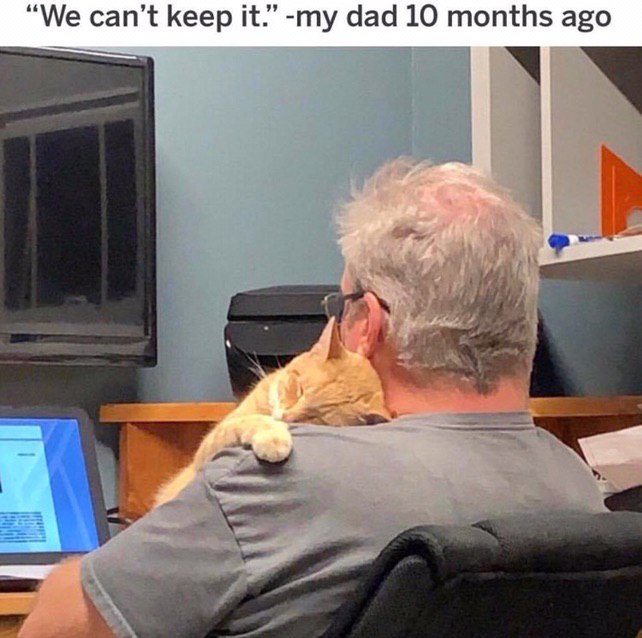 can’t keep it.” dad 10 months ago