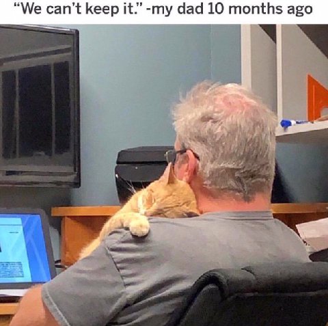 can’t keep it.” dad 10 months ago