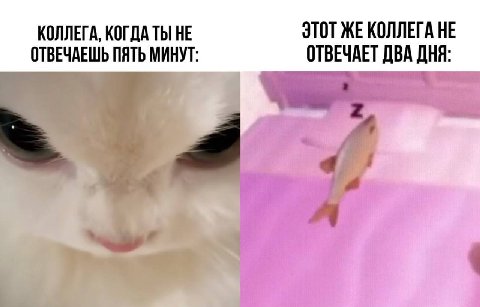 КОЛЛЕГА, КОГДА ТЫ НЕ ЭТОТ ЖЕКОЛЛЕГА НЕ ОТВЕЧАЕШЬ ПЯТЬ МИНУТ: ОТВЕЧАЕТ ДВА ДНЯ: