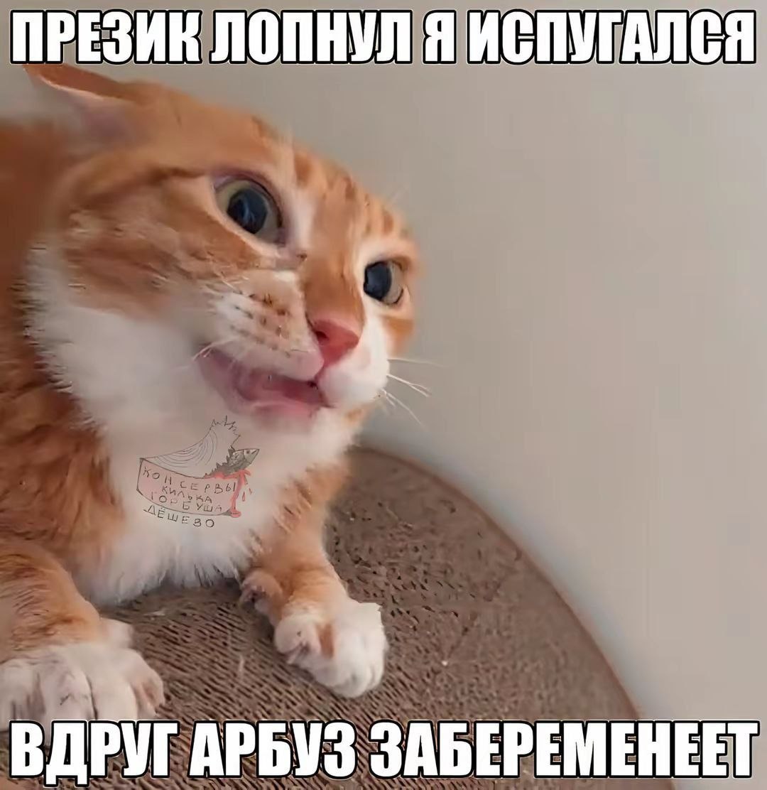 ПРЕЗИК ЛОПНУЛ Я ИСПУГАЛСЯ ВДРУГ АРБУЗ ЗАБЕРЕМЕНЕЕТ
