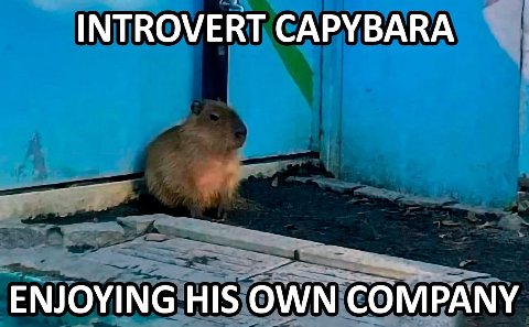 INTROVERT САРУВАВА ENJOYING HIS OWN COMPANY