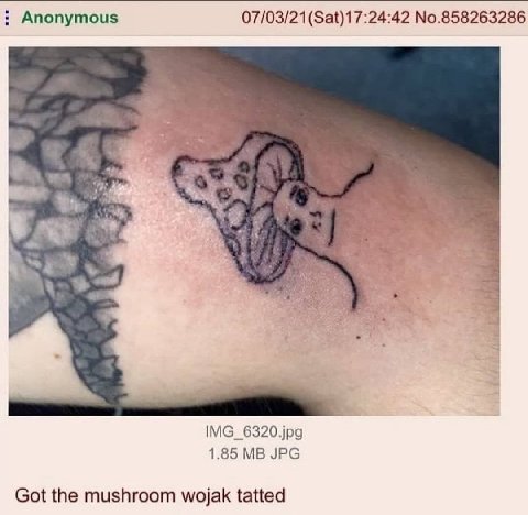 Anonymous 07/03/21 (Sat)17:24:42 No.858263286 IMG_6320.jpg 1.85 JPG Got the mushroom wojak tatted