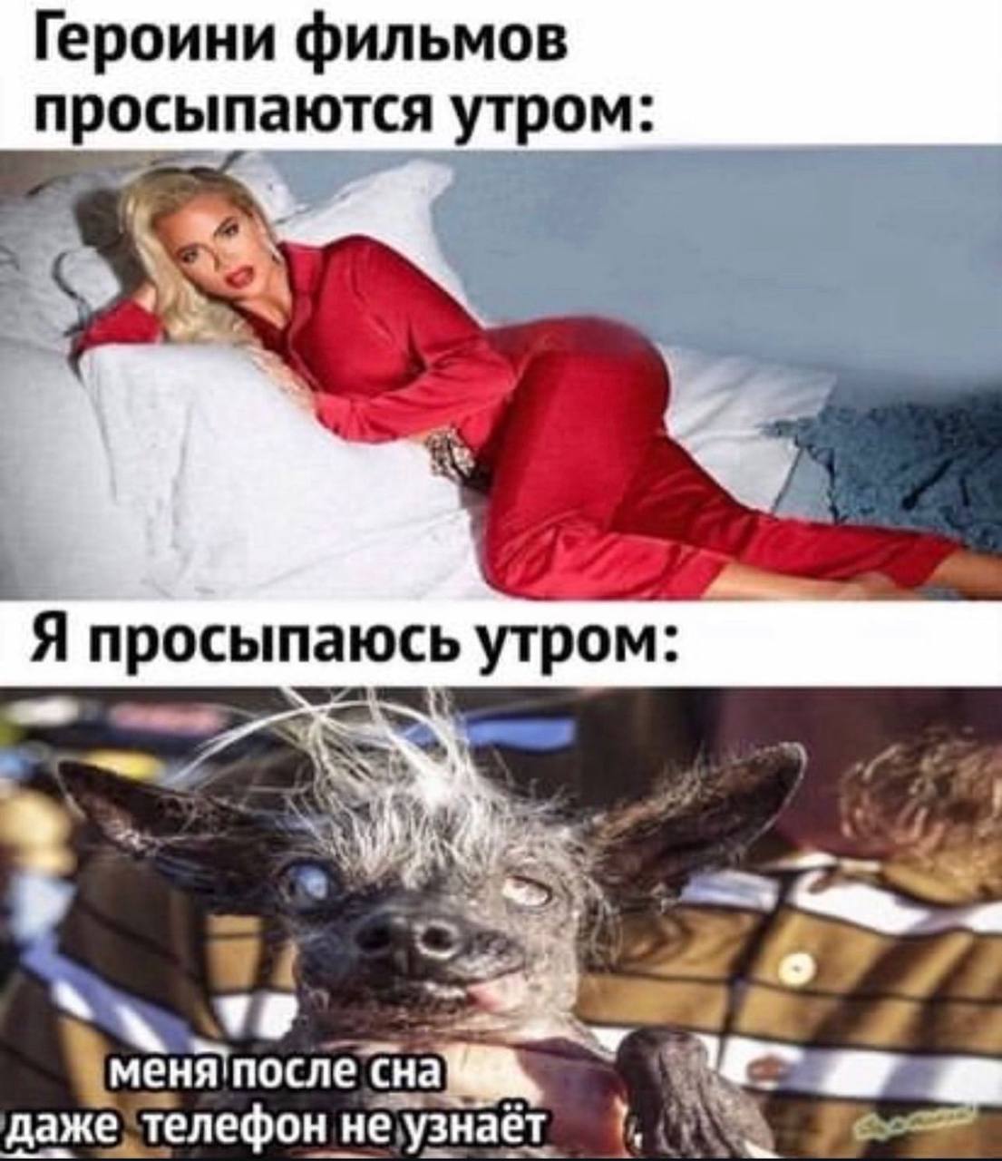 Героини фильмов просыпаются утром A просыпаюсь утром: меня'после CHa даже_телефон неузнаёт