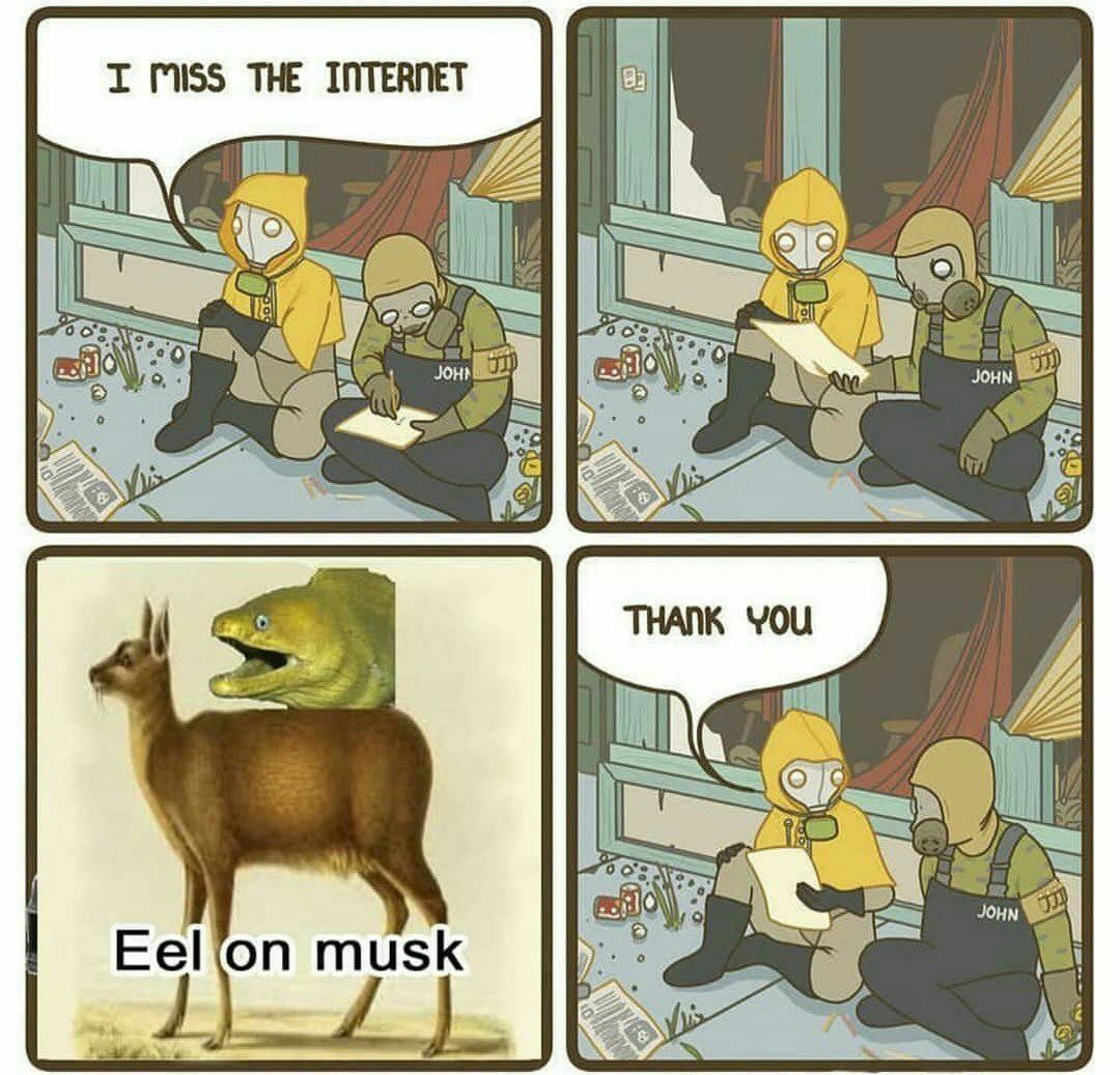 musk