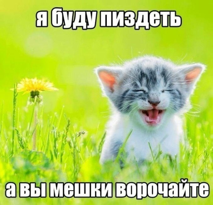 я буду пиздеть i У, и 1. мешки ворочайте