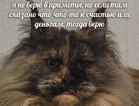 я не верю 6 примепия, но если там сказано что что-то к счастью или тогда верю