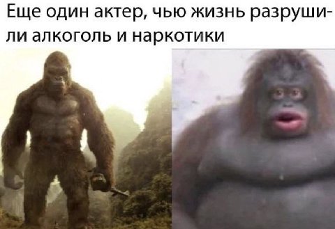 Еще один актер, чью жизнь разруши- ли алкоголь и наркотики