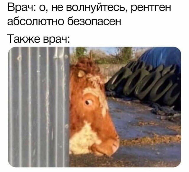 Врач: о, не волнуйтесь, рентген абсолютно безопасен Также врач: «У