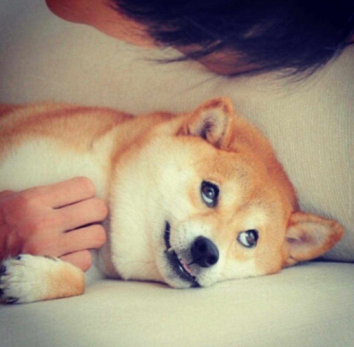 Я