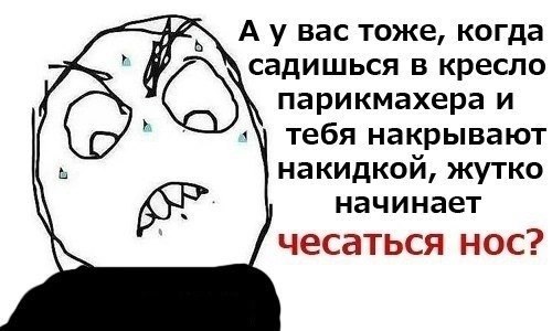 Bac тоже, когда садишься в кресло парикмахера и тебя накрывают накидкой, жутко начинает чесаться нос?