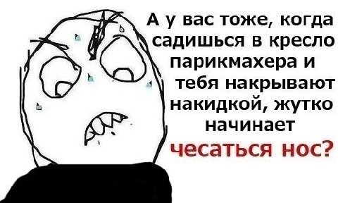 Bac тоже, когда садишься в кресло парикмахера и тебя накрывают накидкой, жутко начинает чесаться нос?